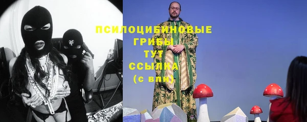 гашик Белоозёрский