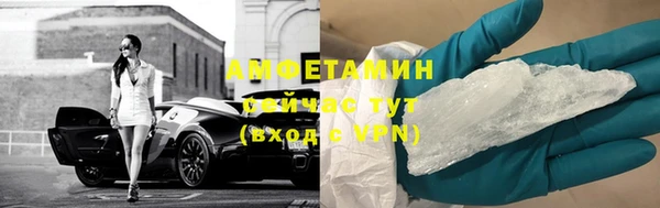 индика Белокуриха