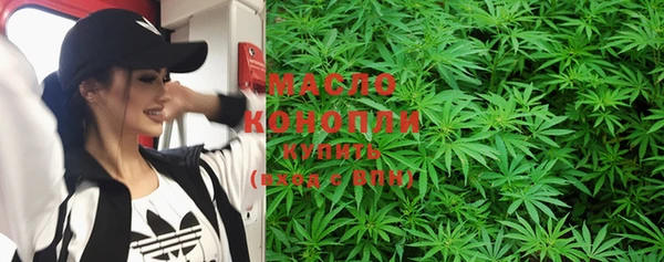 индика Белокуриха