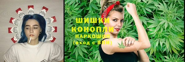 индика Белокуриха